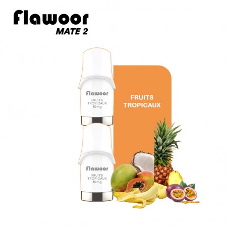 CARTOUCHES PUFF FRUITS TROPICAUX / 2PCS - FLAWOOR MATE 2-PUFFS-alavape.com