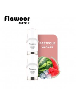 CARTOUCHES PUFF PASTÈQUE GLACÉE / 2PCS - FLAWOOR MATE 2-PUFFS-alavape.com