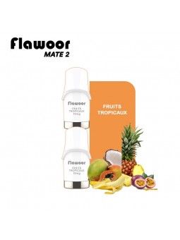 CARTOUCHES PUFF FRUITS TROPICAUX / 2PCS - FLAWOOR MATE 2-PUFFS-alavape.com