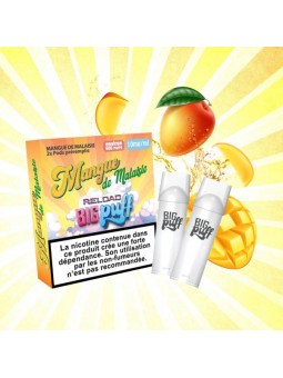 CARTOUCHES PUFF MANGUE DE MALAISIE / 2PCS - BIG PUFF RELOAD-PUFFS-alavape.com
