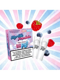 CARTOUCHES PUFF MYRTILLE FRAMBOISE / 2PCS - BIG PUFF RELOAD-PUFFS-alavape.com