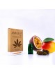 CARTOUCHE AMN/ESY CANNABIS SATIVA L.- VAZEGREEN-Ecigarettes-alavape.com
