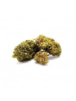 SUPER SKUNK - VRAC 100G