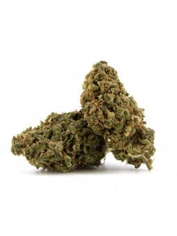 BUBBA KUSH - VRAC 100G