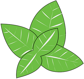 Arôme Menthe DIY